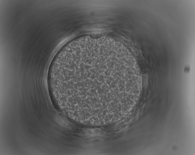 X0000116600147201001081157