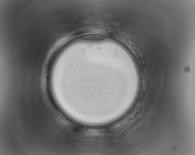 X0000116600149201001081157