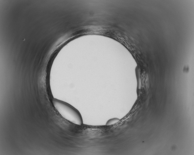 X0000116600150201001081157