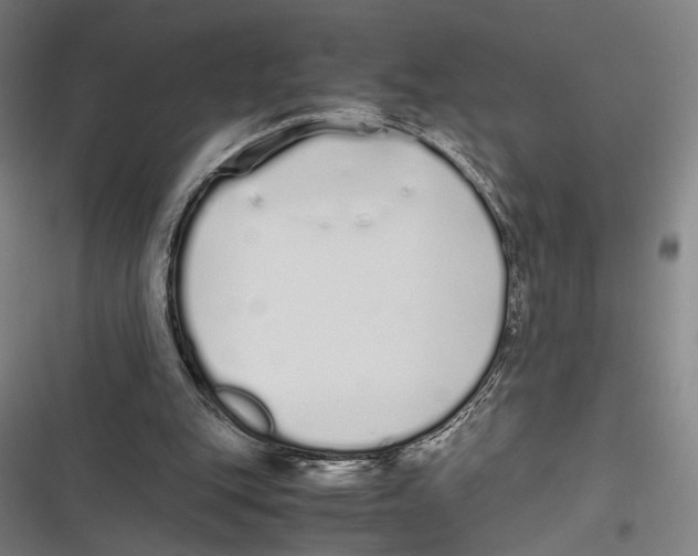 X0000116600151201001081157