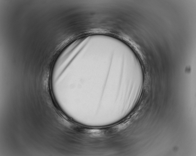 X0000116600153201001081157