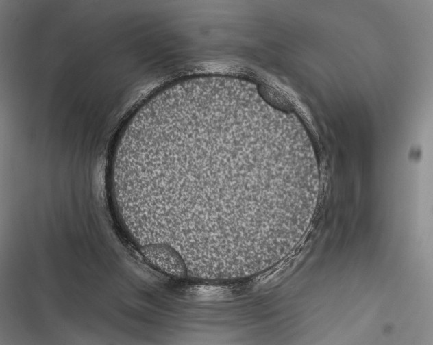 X0000116600154201001081157