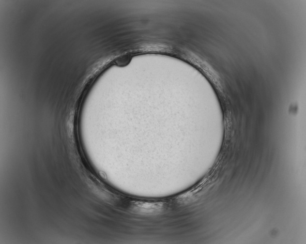 X0000116600155201001081157