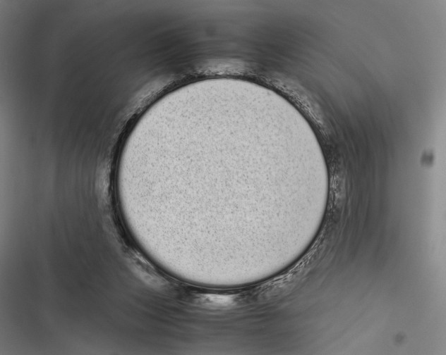 X0000116600159201001081157