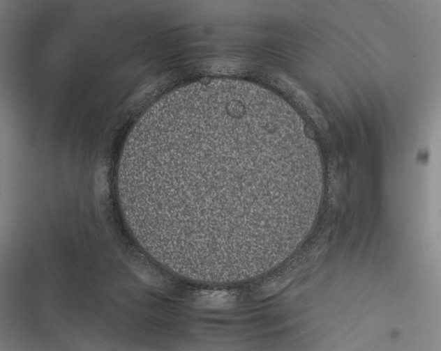 X0000116600161201001081157