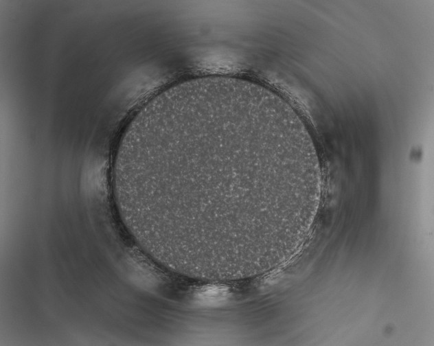 X0000116600162201001081157