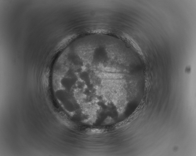 X0000116600163201001081157