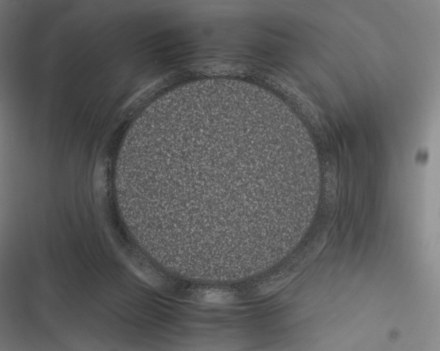 X0000116600165201001081157