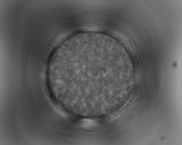 X0000116600167201001081157