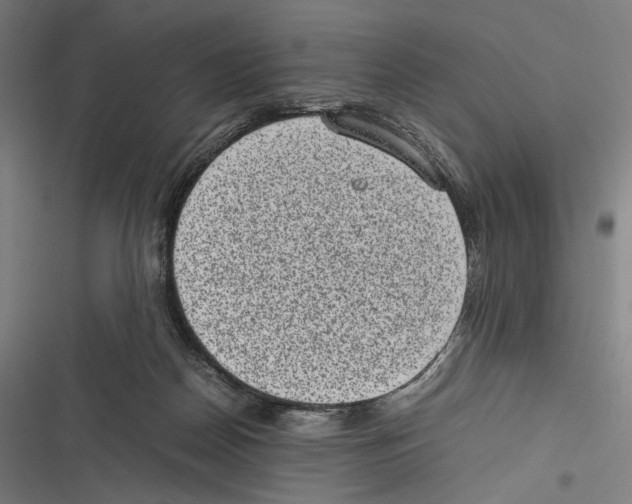 X0000116600170201001081157