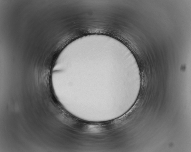 X0000116600171201001081157