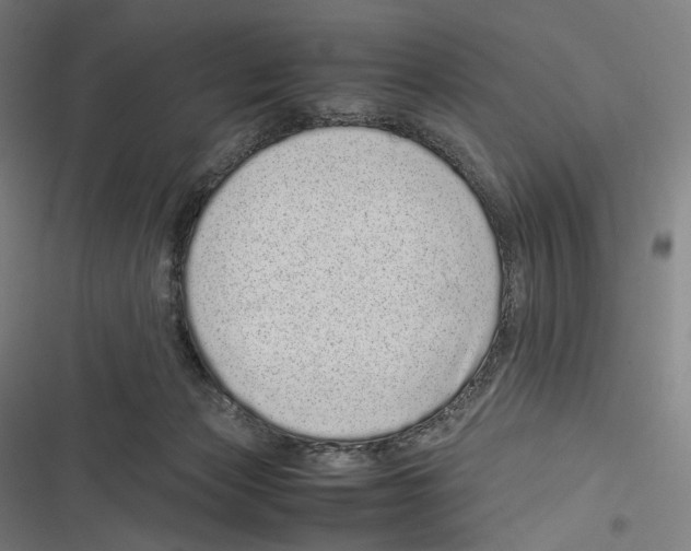 X0000116600173201001081157