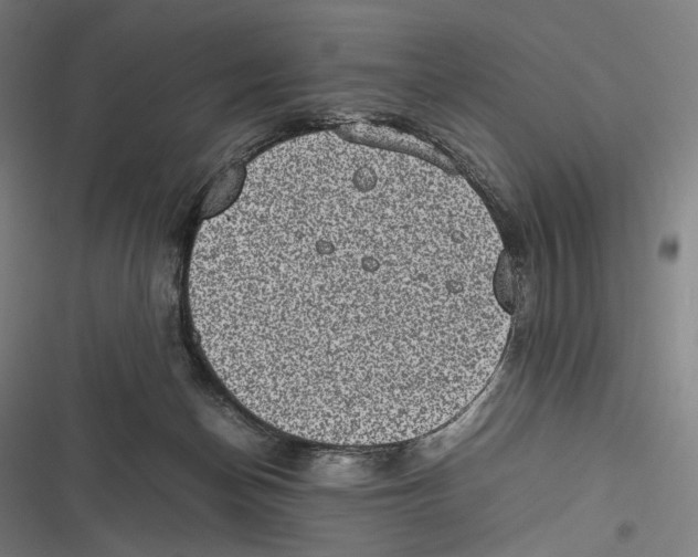 X0000116600174201001081157