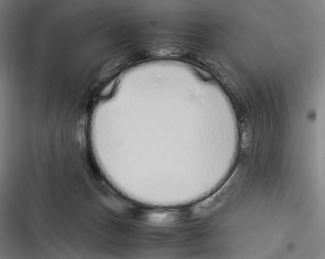 X0000116600175201001081157