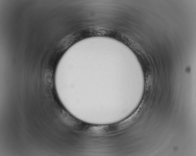 X0000116600178201001081157