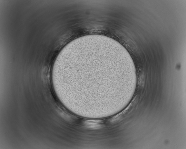 X0000116600179201001081157