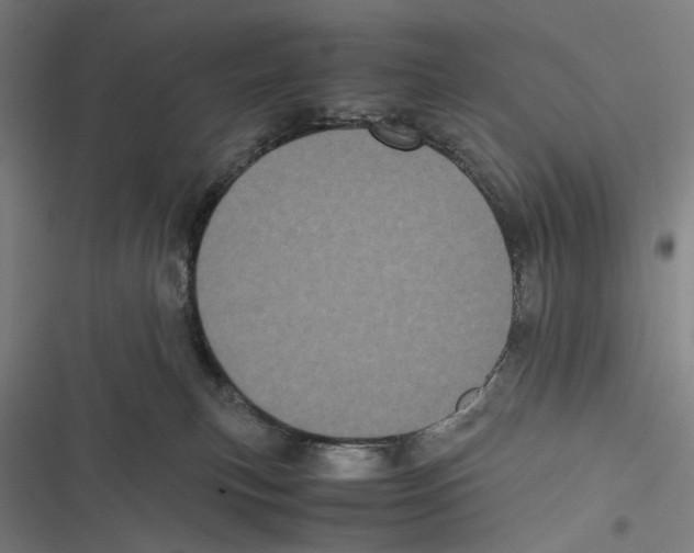 X0000116600183201001081157