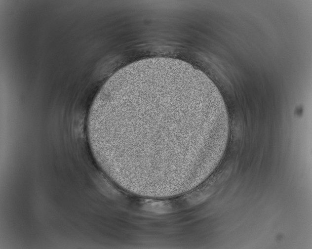 X0000116600185201001081157