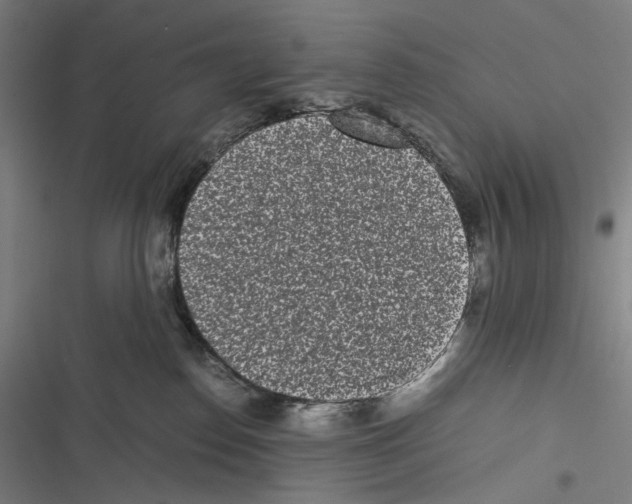 X0000116600186201001081157