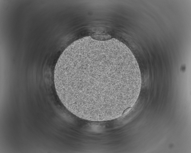 X0000116600187201001081157