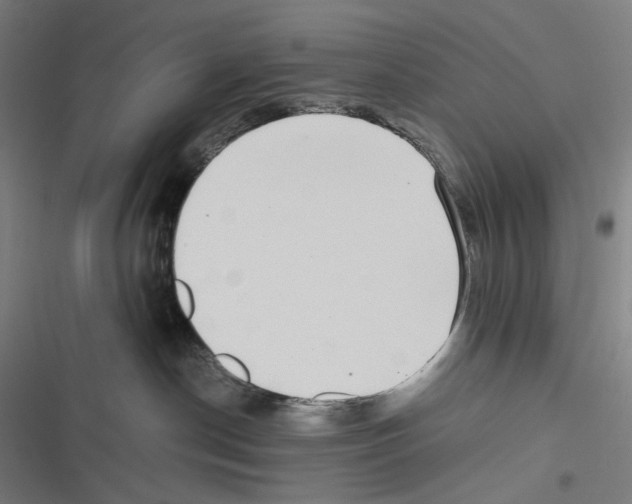 X0000116600190201001081157