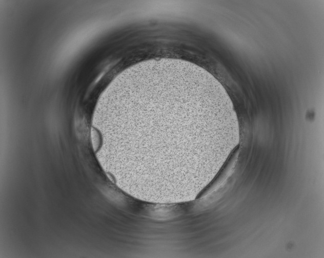 X0000116600191201001081157