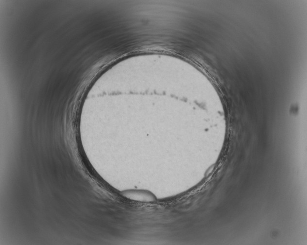 X0000116600193201001081157