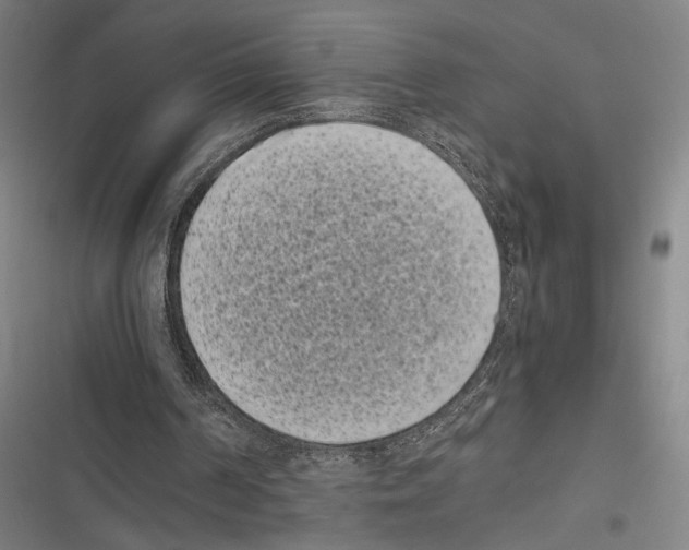 X0000116600194201001081157