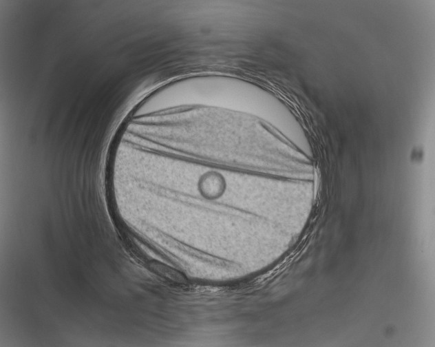 X0000116600195201001081157