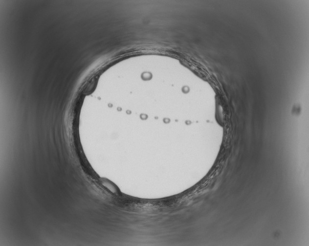X0000116600197201001081157