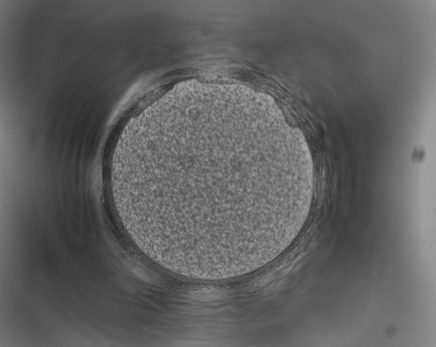 X0000116600198201001081157