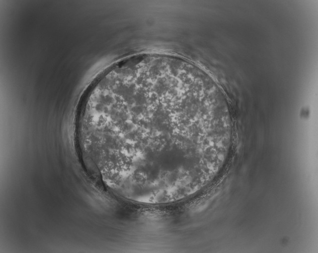 X0000116600199201001081157