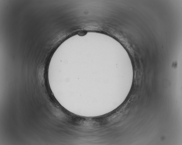 X0000116600201201001081157