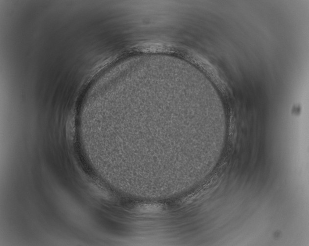 X0000116600202201001081157