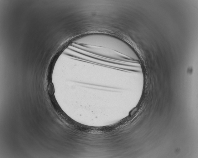 X0000116600203201001081157