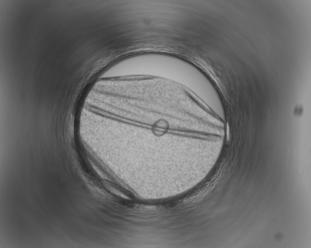 X0000116600205201001081157