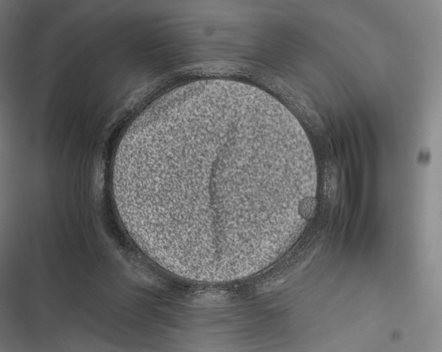 X0000116600206201001081157