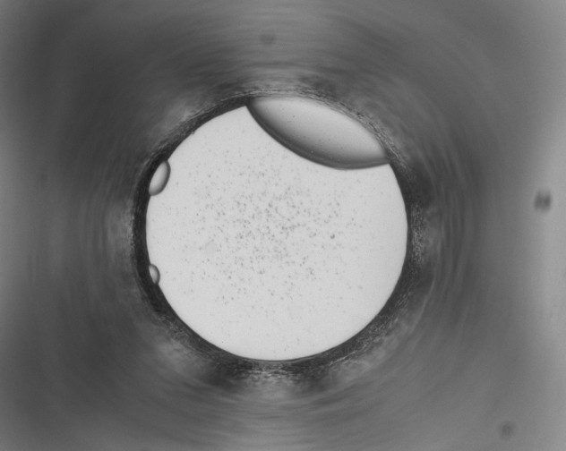 X0000116600207201001081157