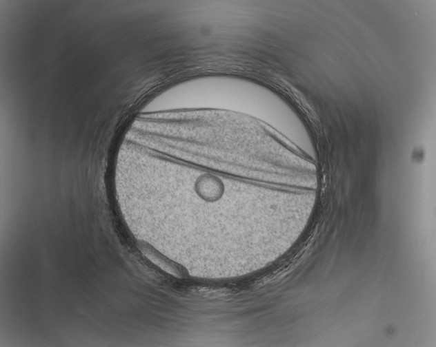 X0000116600209201001081157