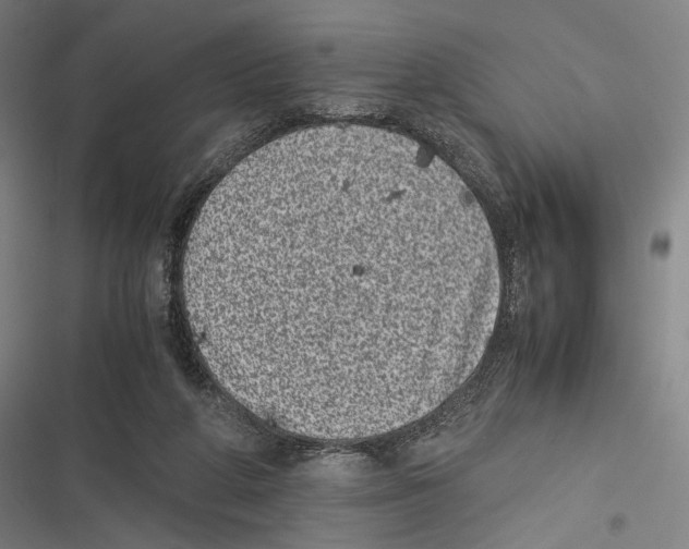 X0000116600210201001081157