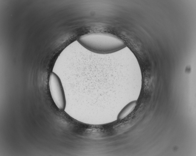 X0000116600211201001081157