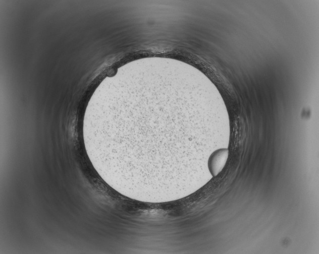 X0000116600212201001081157