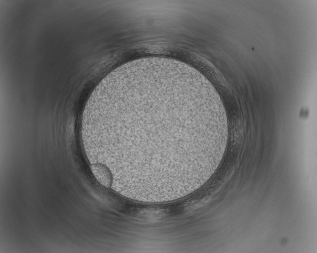 X0000116600213201001081157
