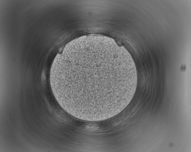 X0000116600214201001081156