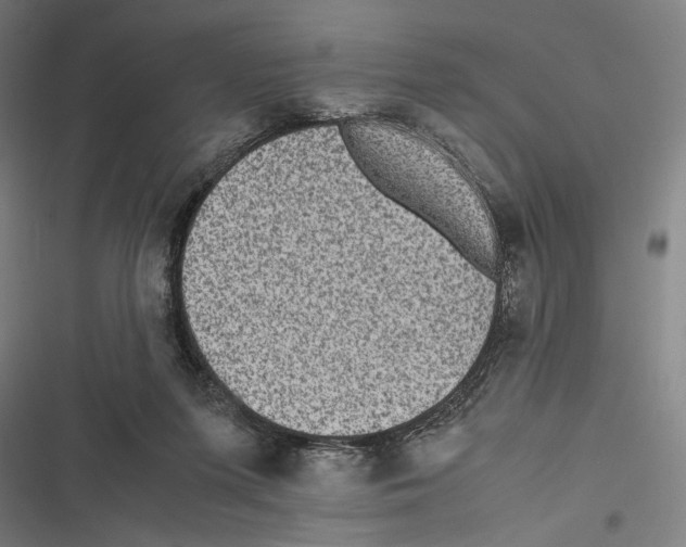 X0000116600215201001081156