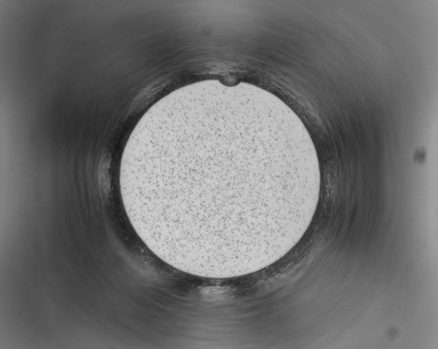 X0000116600216201001081156