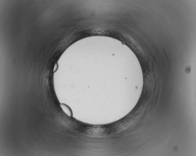 X0000116600217201001081156