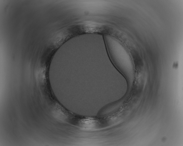 X0000116600219201001081156
