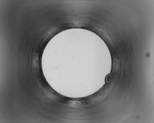 X0000116600220201001081156