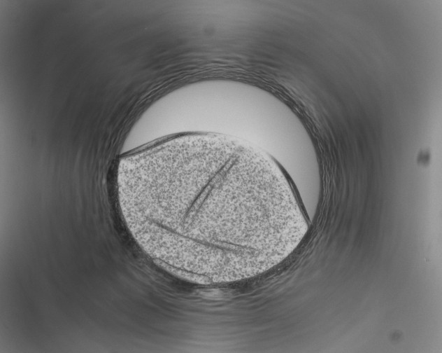 X0000116600221201001081156